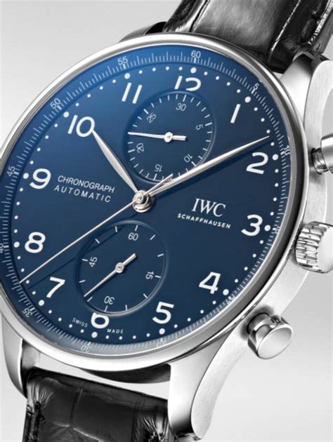 iwc saluzzo|iwc 69355.